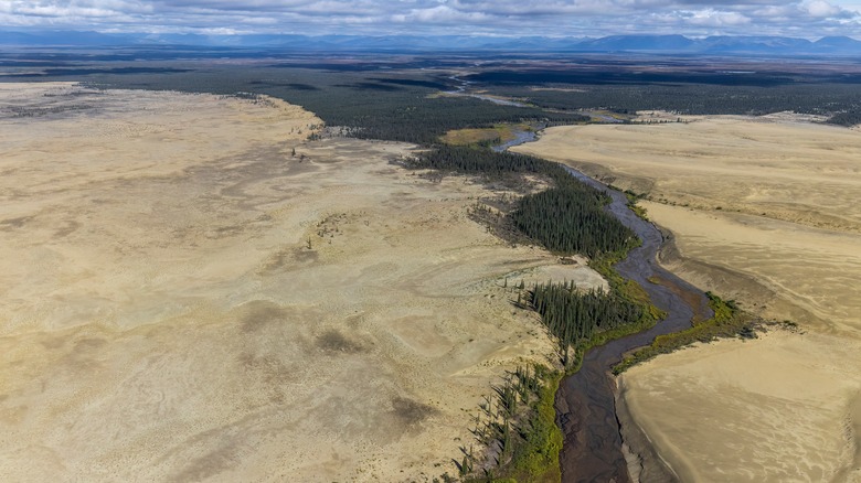 sand dunes by river