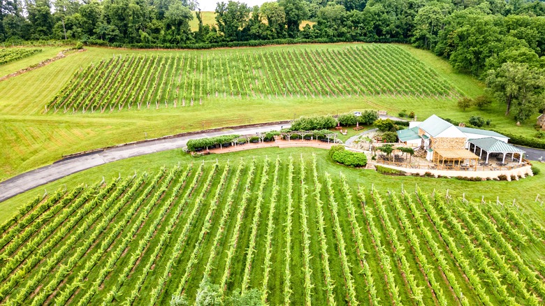 Virginia wine estate