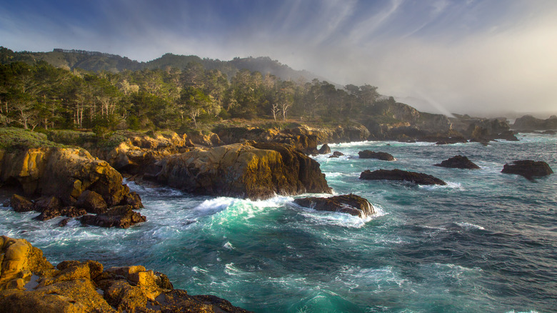 Point Lobos near Carmel, California