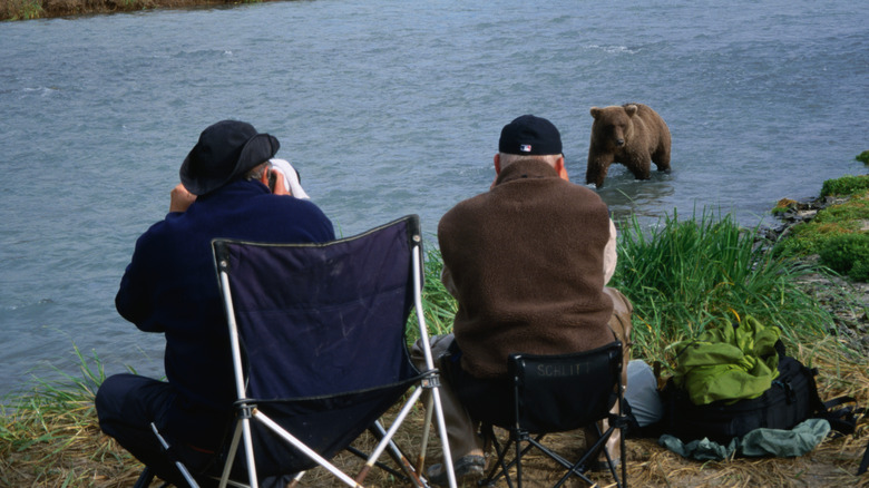 Two travelers photographing bears