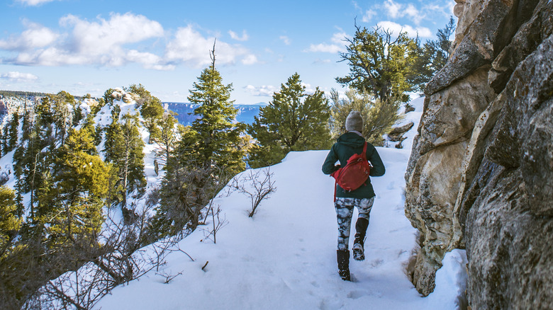 Female hikers in the Grand Canyon's North Rim on a snowy day