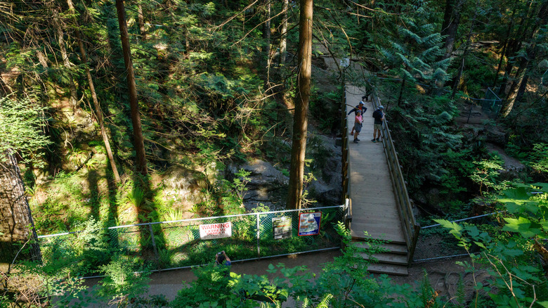 Hikers crossing a bridge in Lynn Canyon Park