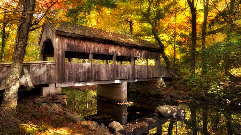 bridge in state park