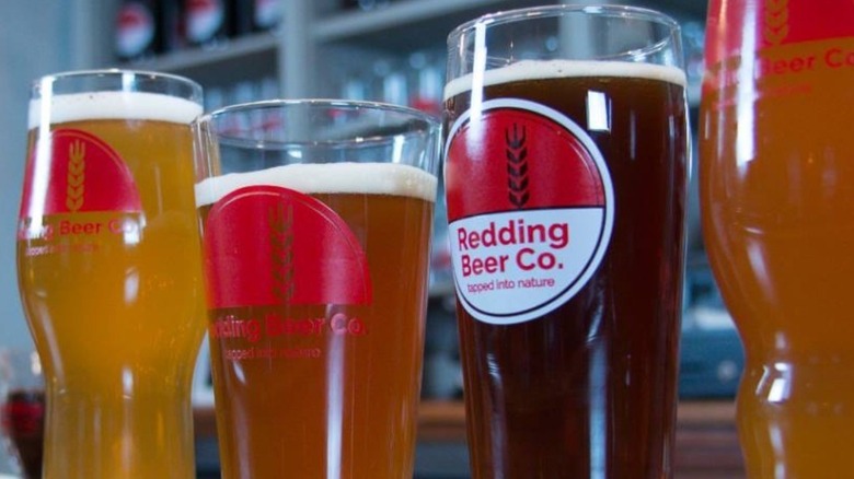 lineup of Redding Beer Co glasses and different styles of beer