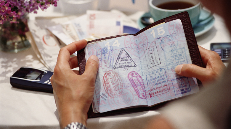 A person looking through their passport