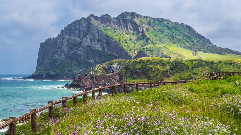 Large grassy cliff by ocean