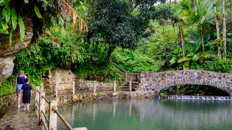 Historic stone bridge El Yunque National Forest