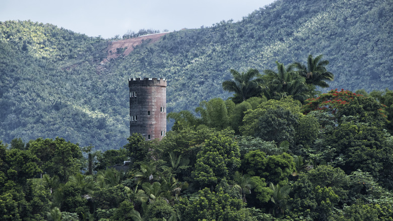 Historic tower in the rainforest