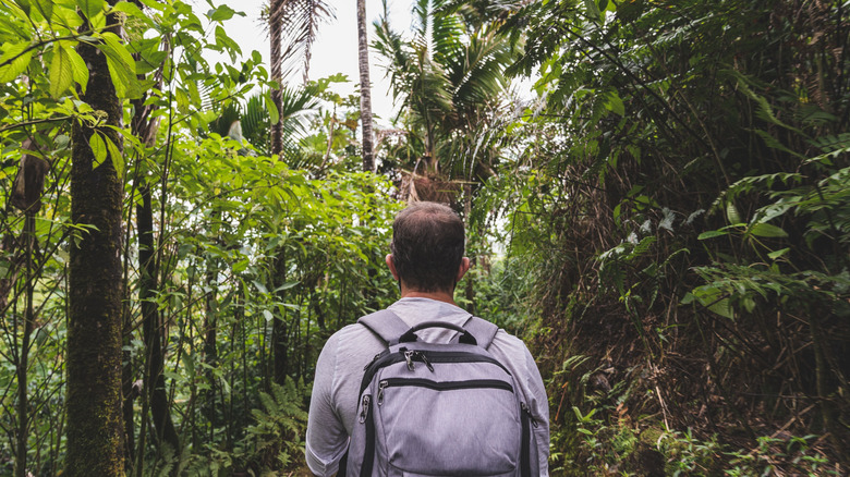 Man hiking in rainforest with backpack