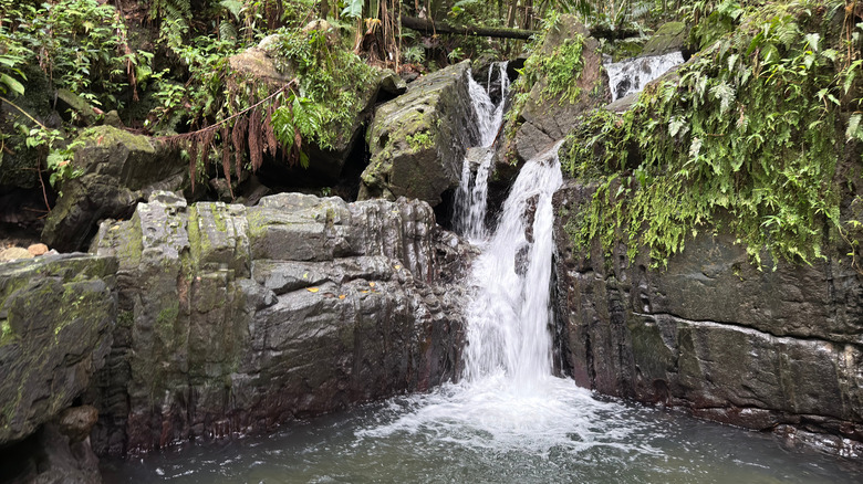 Waterfall in El Yunque National Forest