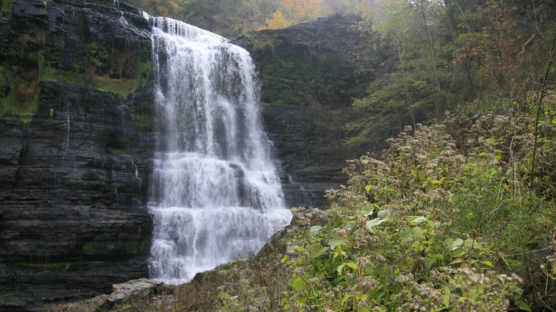 Cascade view at Burgess Falls State Park