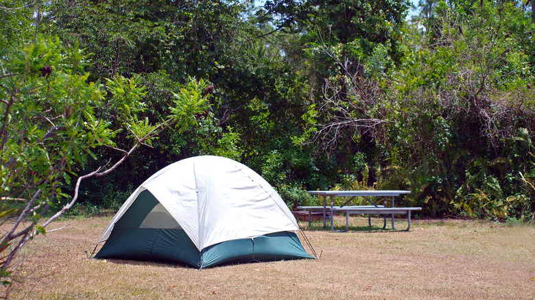 A campsite in the Everglades