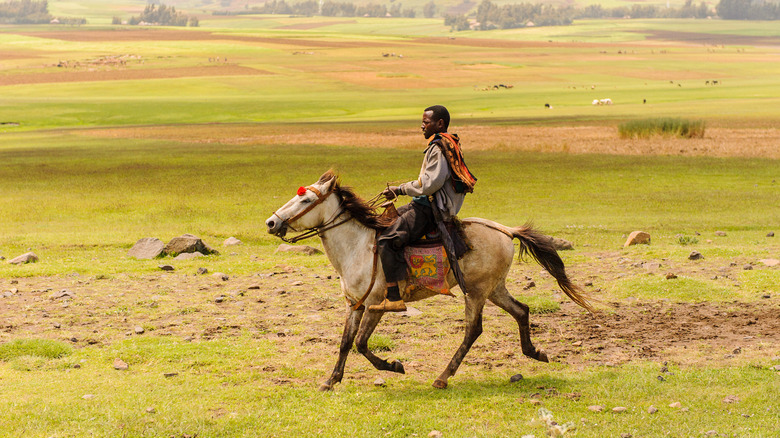 Horseback rider in Omo, Ethiopia