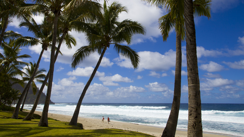 Beach in Réunion Island