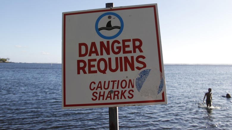 Shark sign at Réunion Island