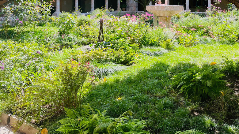 View of an archway, garden, and trees at the Met Cloisters