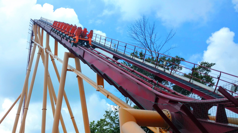 Kings Island Diamondback