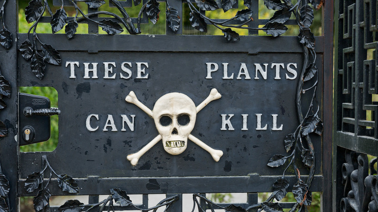 gate to poison garden