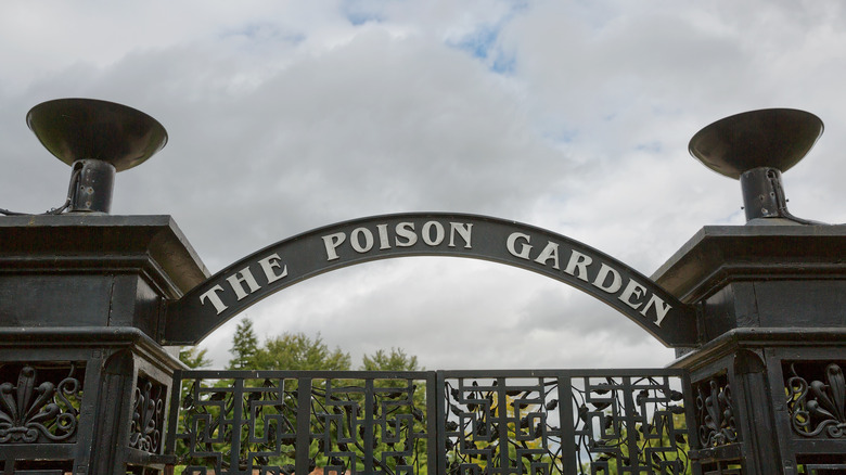 the poison garden gate