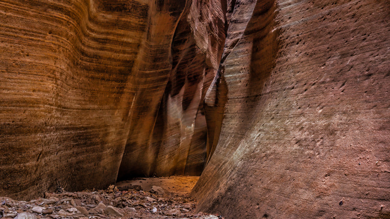 Bottom of narrow slot canyon 