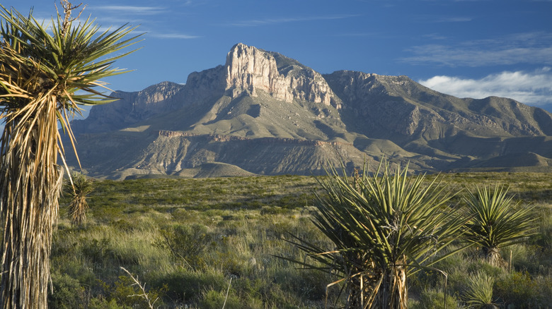 Guadalupe peak from distance