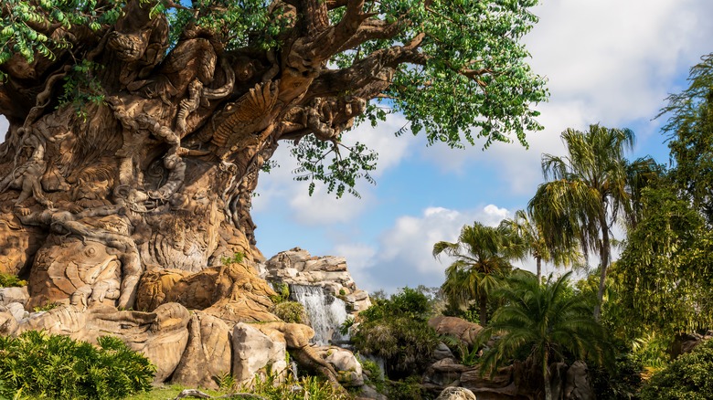 Tree of Life Disney's Animal Kingdom