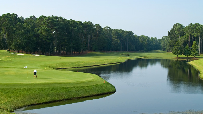 A golfer in Myrtle Beach