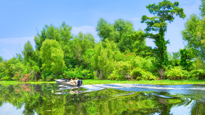 Louisiana: Atchafalaya Basin