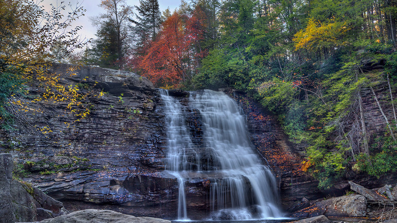 Maryland: Muddy Creek Falls