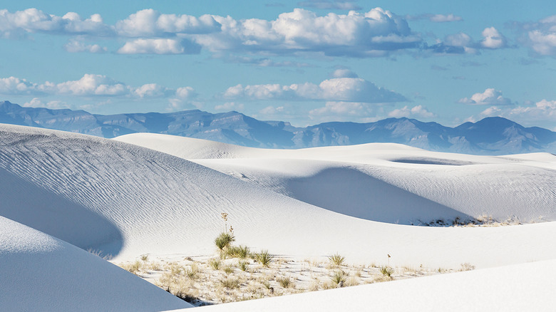 New Mexico: White Sands 