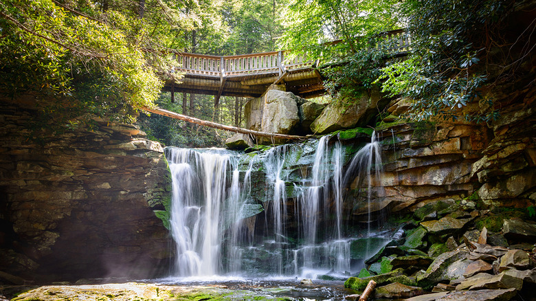 West Virginia: Blackwater Falls State Park