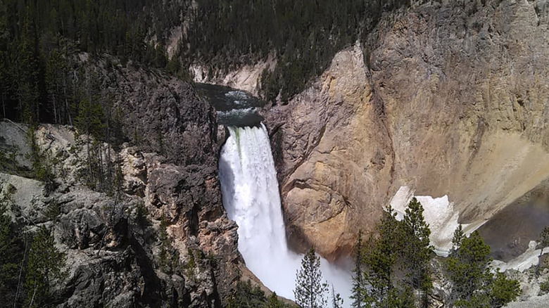 Wyoming: Lower Yellowstone Falls