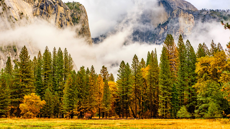 Yosemite National Park in autumn
