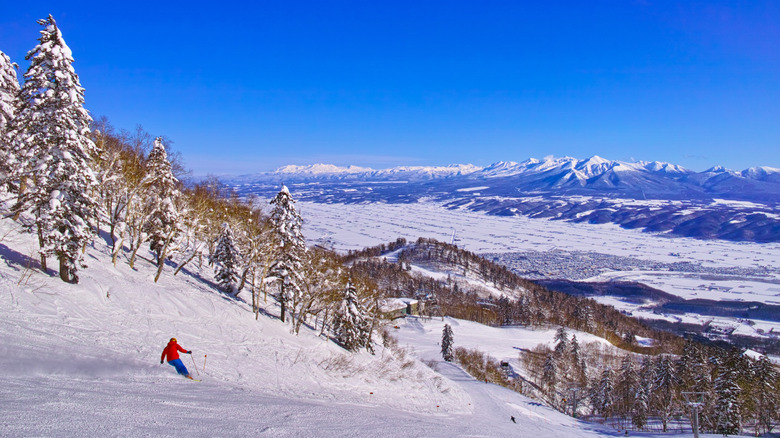 Skiers heading down slopes at Furano