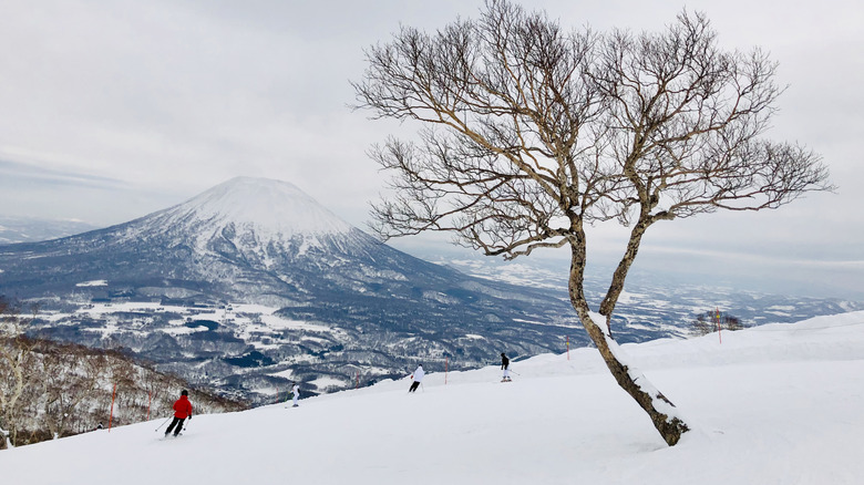 Skiiers on a mountain in Japan