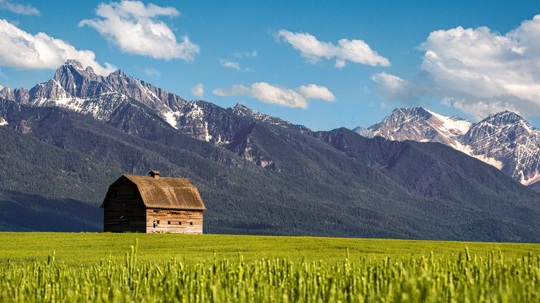 Barn in Montana with mountains