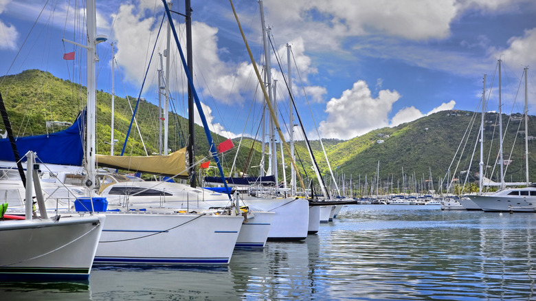 Manchineel Bay marina 