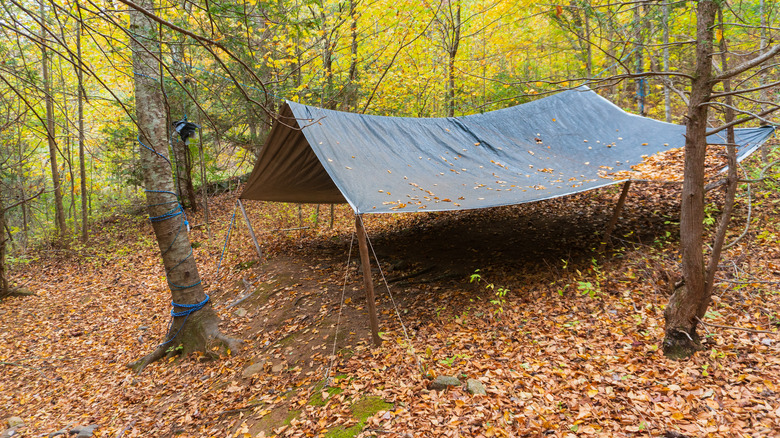 Tarp shelter in the woods