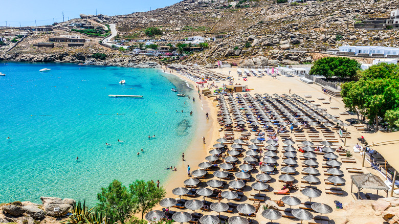 beach lined with sunbeds and umbrellas