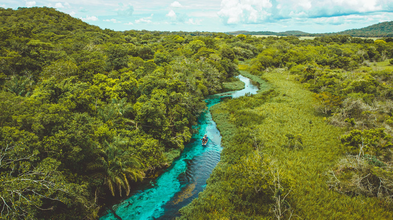 Sucuri River, Mato Grosso do Sul, Brazil