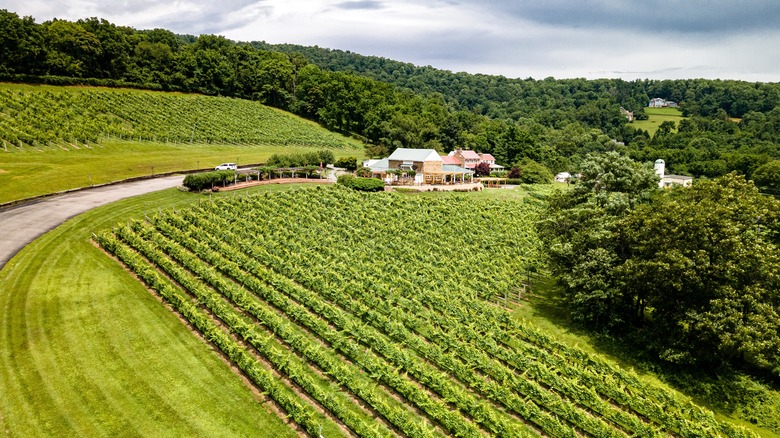 family owned winery in Virginia
