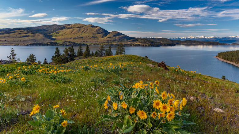 Wild Horse Island State Park in Montana