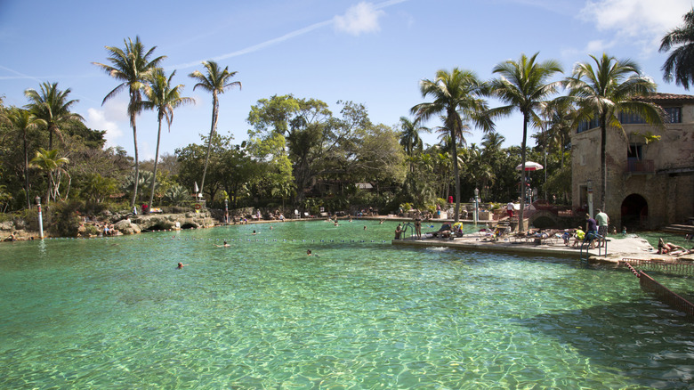 Swimmers at Coral Gables' Venetian pool