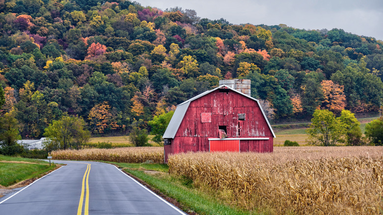 red barn against fall leaves