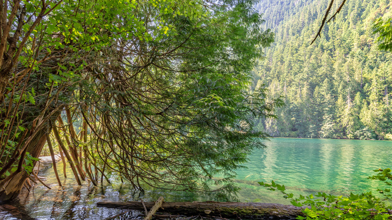 Cameron Lake in MacMillan Park on Vancouver Island.