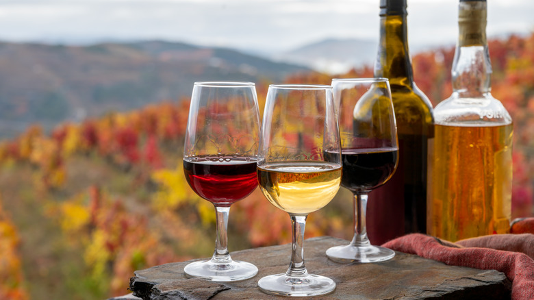 Port wine with vineyard backdrop