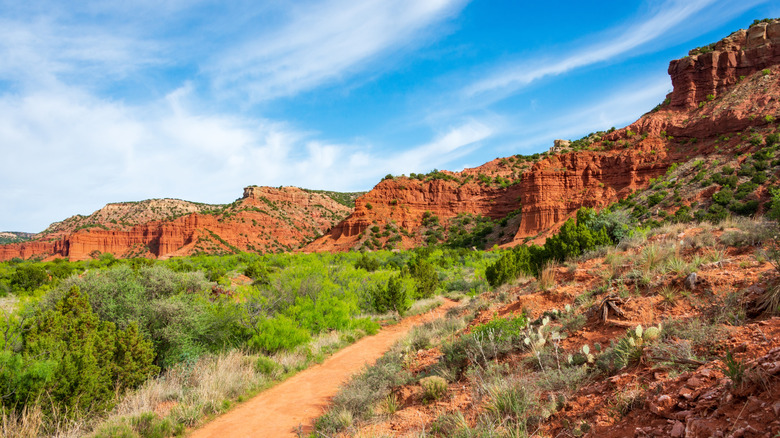 Dusty trail leading to red rocks