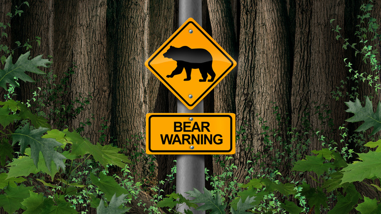 Bear warning sign in woods