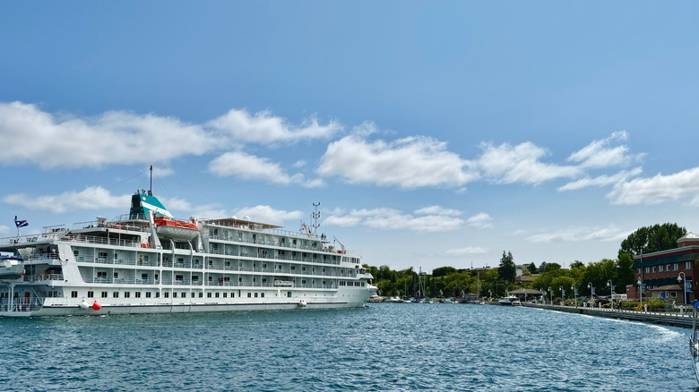 A Great Lakes cruise ship docked by a small town.