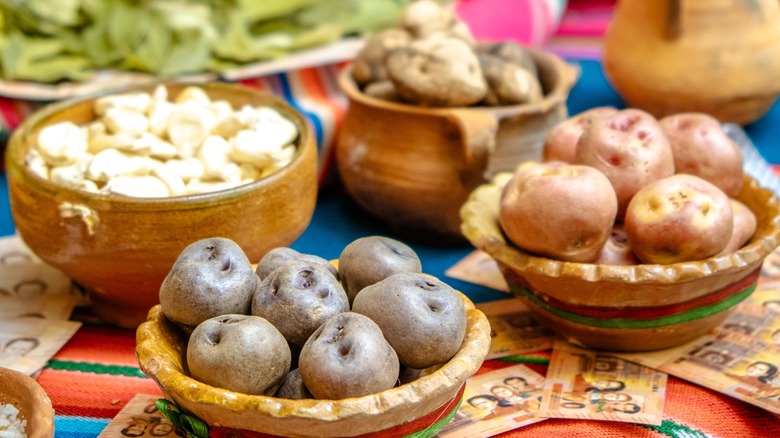 bolivian potato